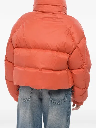 Bacon Puffa Cropped Puffer Jacket In Multi