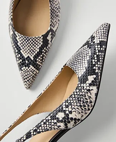 Ann Taylor Snake Print Slingback Pump In Multi