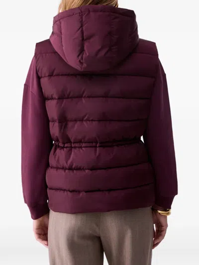 Liu •jo Short Padded Nylon Jacket In Multi
