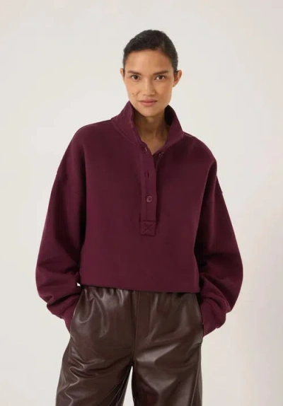 Hush Hendrix Half Placket Sweatshirt In Multi