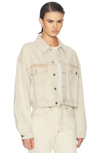 Agolde Palmer Jacket In Neutral