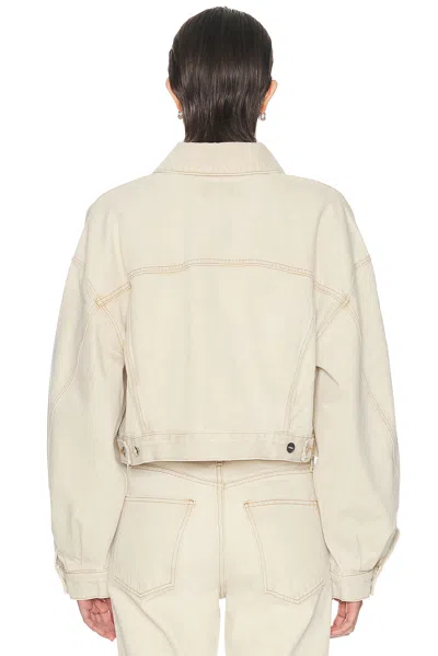 Agolde Palmer Jacket In Neutral