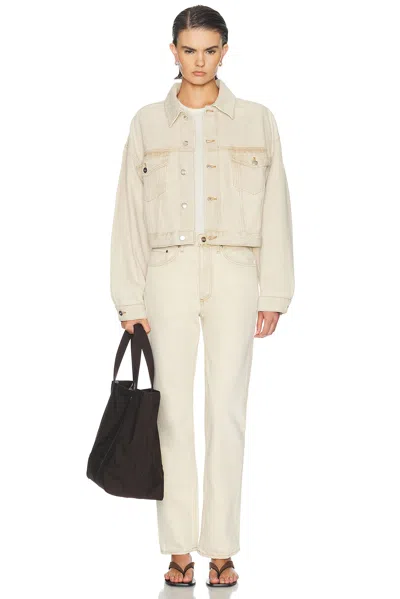 Agolde Palmer Jacket In Neutral