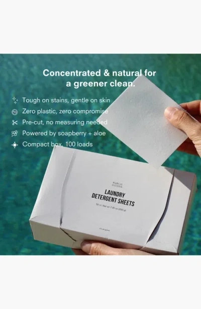 Public Goods Laundry Detergent Sheets In Multi