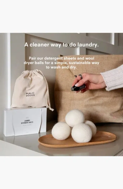 Public Goods Laundry Detergent Sheets In Multi