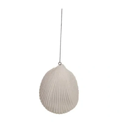 Beachcombers Sea Turtle In Seashell Tree Ornament In Multi