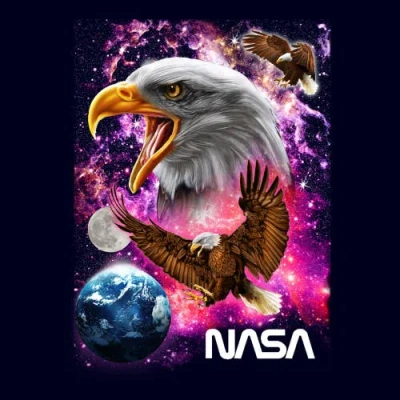Nasa Space Eagle Art Graphic T-shirt In Multi