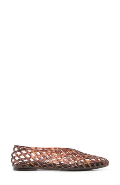 Dolce Vita Jam Jelly Flat In Brown