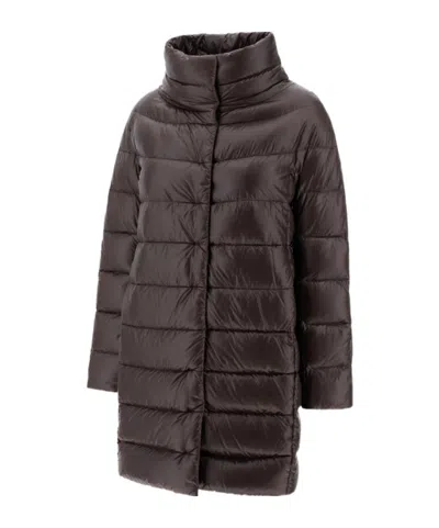 Herno Long-sleeved Down Jacket In Brown