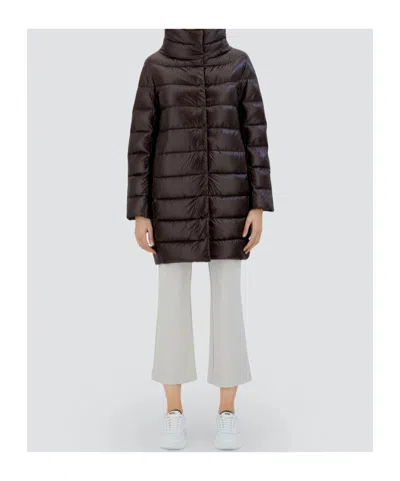 Herno Long-sleeved Down Jacket In Brown