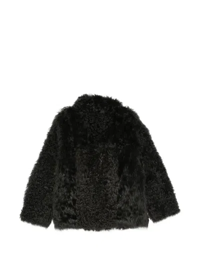 Liska Curly Lamb Shearling Jacket In Black