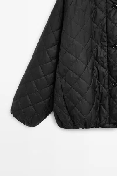 Massimo Dutti In Black