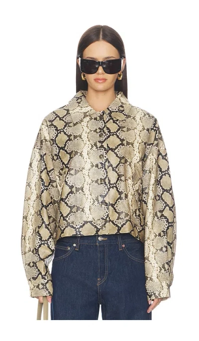 Lioness Angel Jacket In Camel