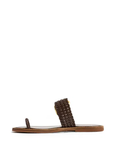 Giuseppe Zanotti Woven-strap Flat Sandals In Brown