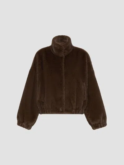 Weekend Max Mara Anemone Cropped Jacket In Brown