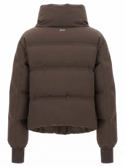 Herno Stand-collar Down Jacket In Marrón