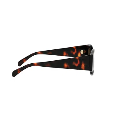 Celine Full Frame Sunglasses In Multi