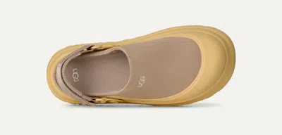 Ugg Goldenglow Suede Clogs In Brown
