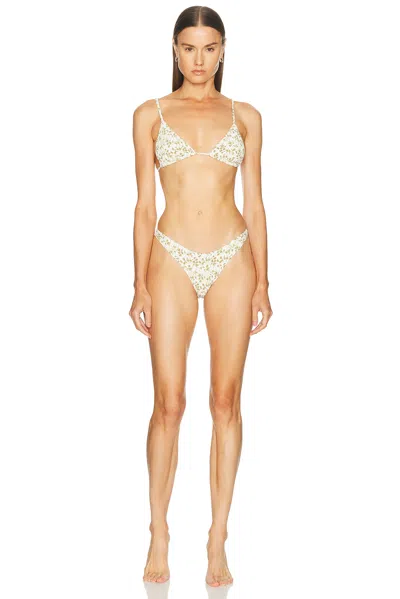 Elce Acacia Bikini Top In White