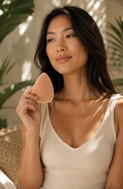 Lechery ® Skingrip Triangle Nipple Covers In Multi
