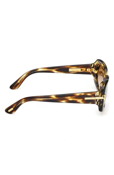 Tom Ford Rectangle Icon Collection Sunglasses In Brown