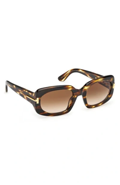 Tom Ford Rectangle Icon Collection Sunglasses In Brown
