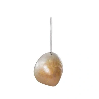 Beachcombers Shell Cluster Tree Ornament In Multi