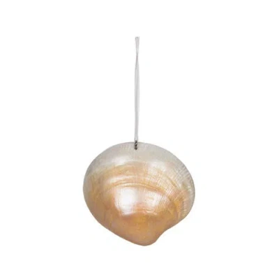 Beachcombers Shell Cluster Tree Ornament In Multi