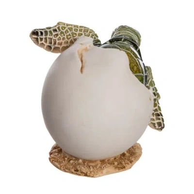 Beachcombers Baby Turtle In Shell Figurine In Multi