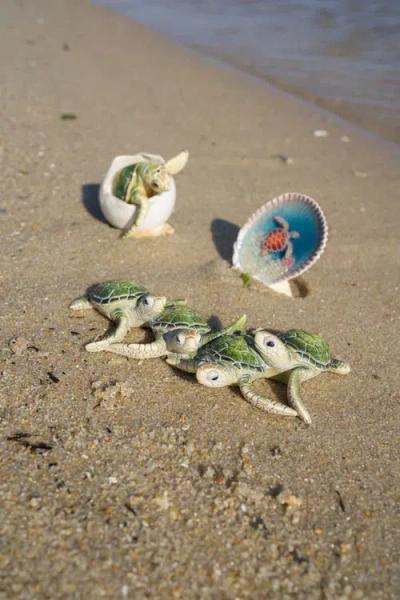 Beachcombers Baby Turtle In Shell Figurine In Multi