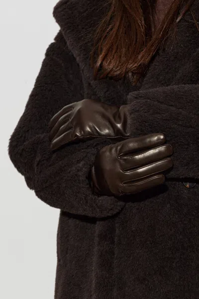 Max Mara Solid Color Five-finger Gloves In Brown