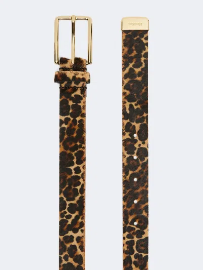 Max Mara Leopard Print Belt In Brown