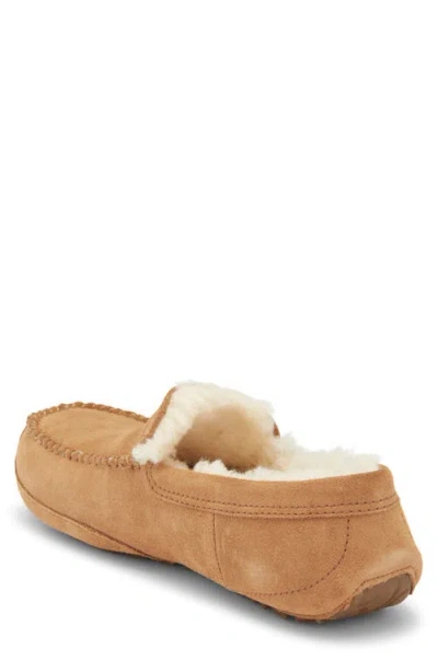Ugg ® Linscot Slipper In Brown
