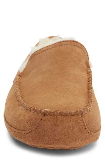 Ugg ® Linscot Slipper In Brown