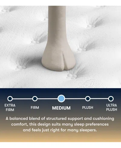 Serta Perfect Sleeper Cascade Canyon 13" Medium Tight Top Mattress, Queen Split In Multi