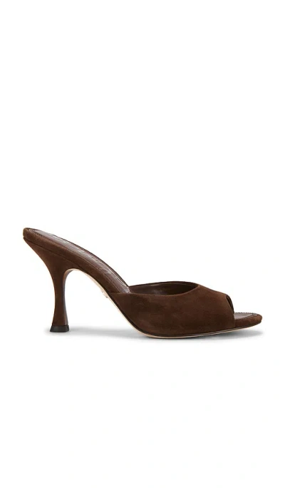 Sam Edelman Jeanie Sandals Java Brown Suede In Brown