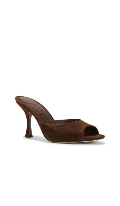 Sam Edelman Jeanie Sandals Java Brown Suede In Brown