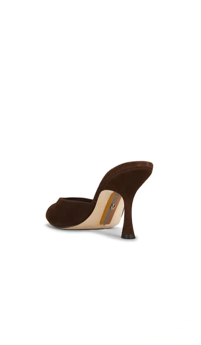 Sam Edelman Jeanie Sandals Java Brown Suede In Brown