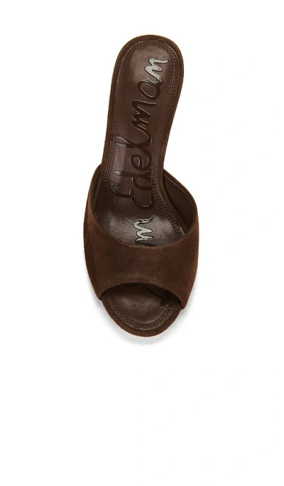 Sam Edelman Jeanie Sandals Java Brown Suede In Brown