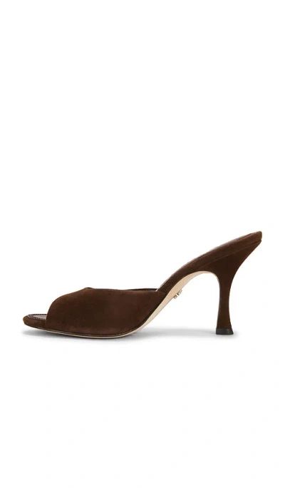 Sam Edelman Jeanie Sandals Java Brown Suede In Brown