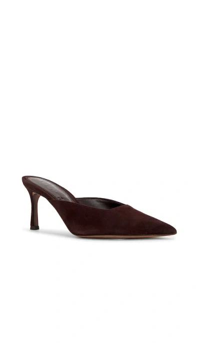 Sam Edelman Brandy Pointed Toe Mule In Brown