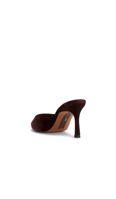 Sam Edelman Brandy Pointed Toe Mule In Brown