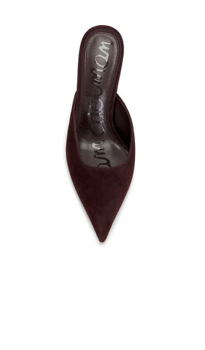 Sam Edelman Brandy Pointed Toe Mule In Brown