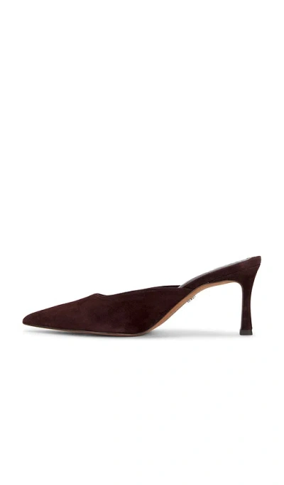 Sam Edelman Brandy Pointed Toe Mule In Brown