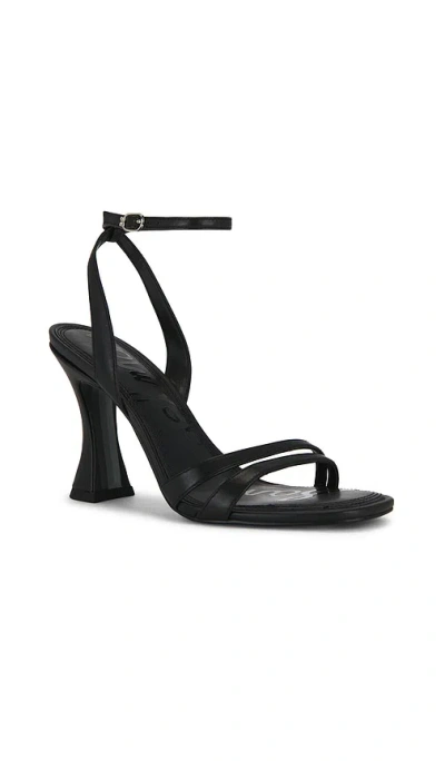 Sam Edelman Junie Ankle Strap Sandal In Black
