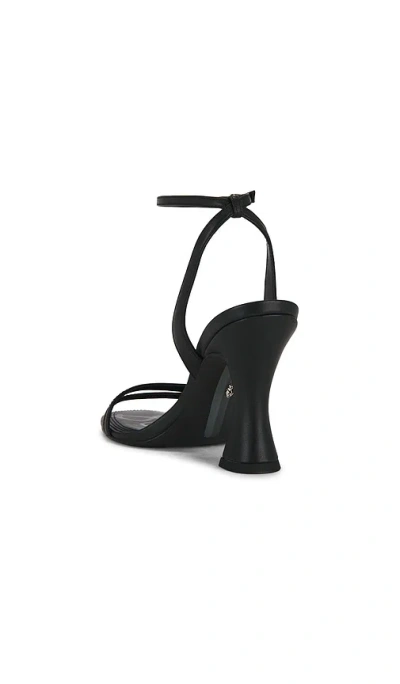 Sam Edelman Junie Ankle Strap Sandal In Black