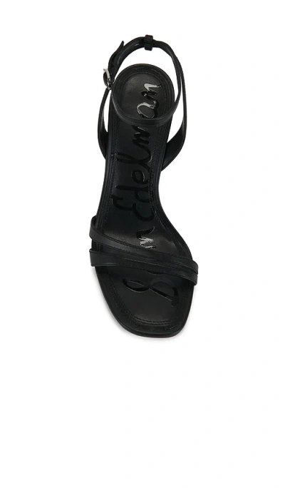 Sam Edelman Junie Ankle Strap Sandal In Black