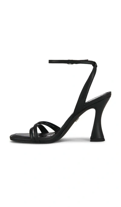 Sam Edelman Junie Ankle Strap Sandal In Black