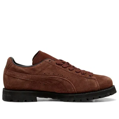Puma Men Strings In Brown