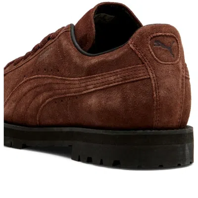 Puma Men Strings In Brown